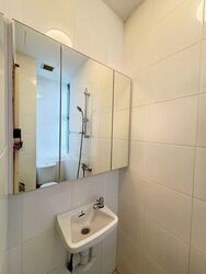 Nassim Regency (D10), Condominium #578764821